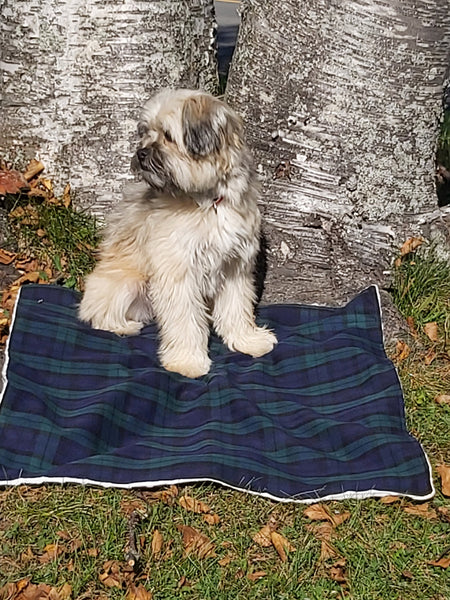 Saskatchewan Tartan Dog Blanket