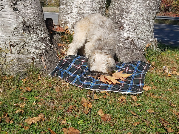 Nova Scotia Tartan Dog Blanket