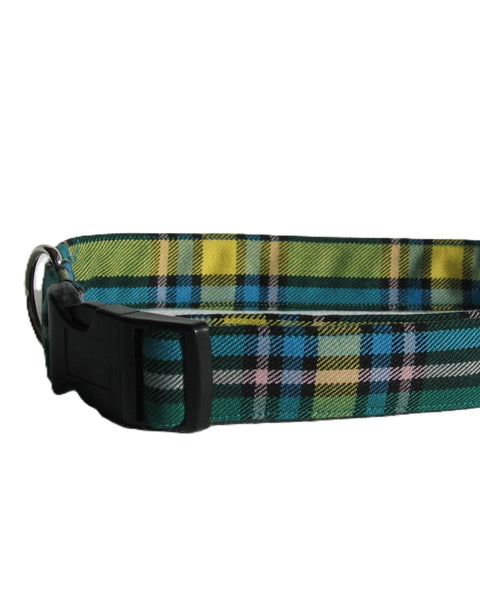 Plaid dog collar with green, blue, and yellow pattern the Alberta tartan ,on a white background