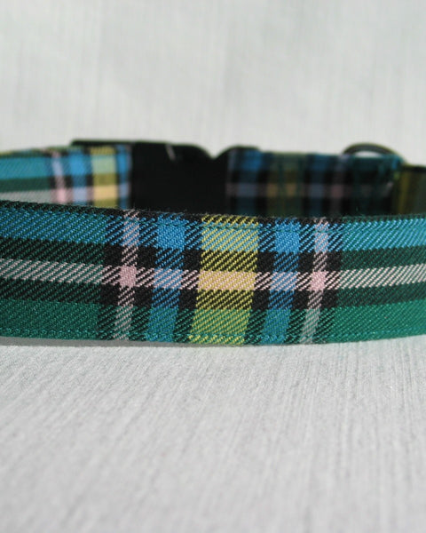 Green, blue, black and white dog collar in the Alberta tartan by Taylors Tartans