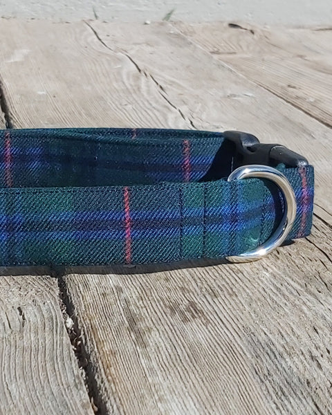 Green, navy and blue laid dog collar with metal buckle on a wooden surface