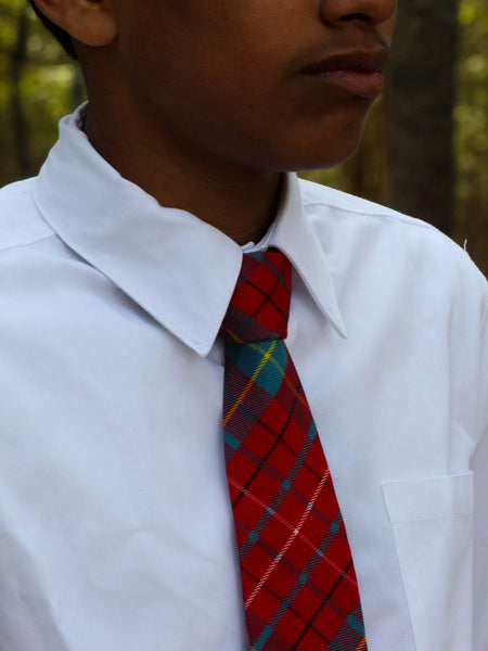 Person wearing a white shirt and British Columbia plaid tie with a blurred natural background