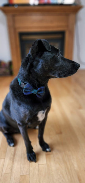 Black Watch Tartan Dog Collar