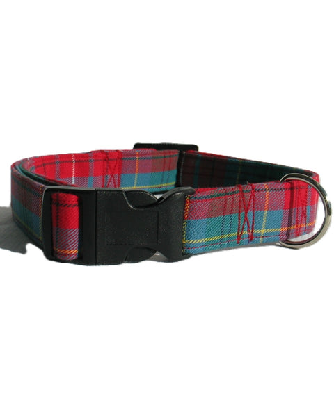 blue and red plaid dog collar in British Columbia tartan with a black buckle on a white background