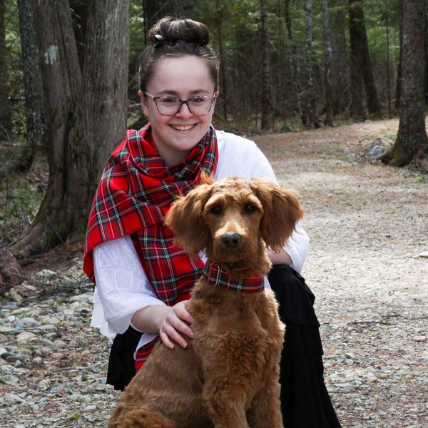 Royal Stewart Tartan Dog Collar