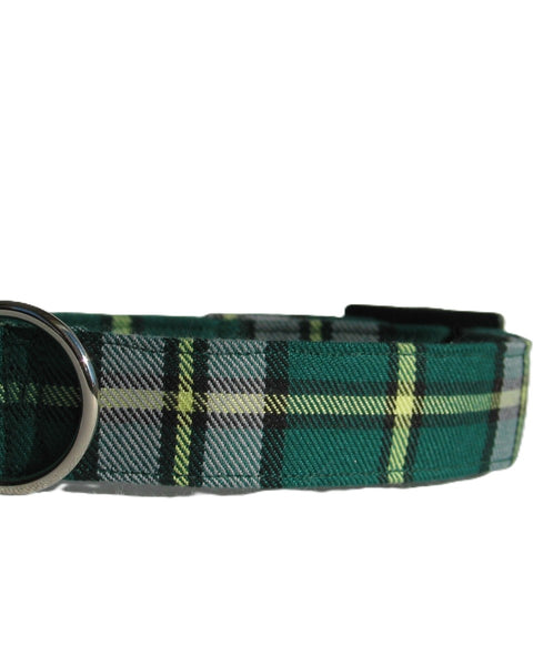 Green plaid dog collar in Cape Breton tartan on a white background
