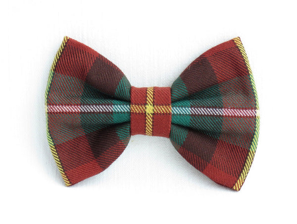 brown, rusta and green plaid dog bow tie on white background by Taylors Tartans
