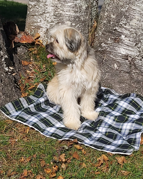 Gordon Tartan Dog Blanket