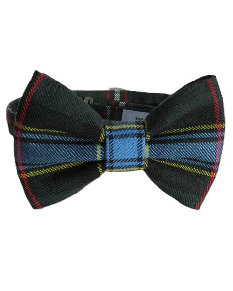 Plaid bow tie with black, blue, and red colors on a white background