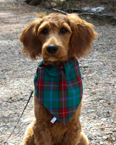 Manitoba Tartan Dog Kerchief