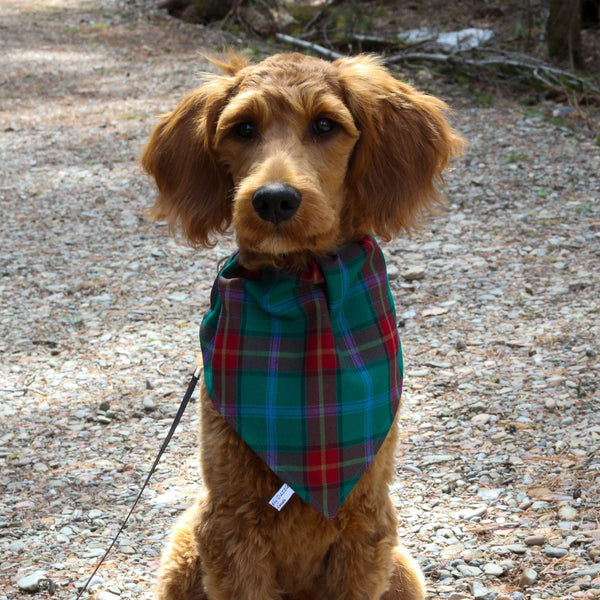 Manitoba Tartan Dog Kerchief