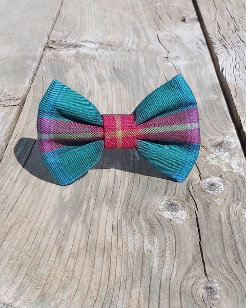 Teal green, red and yellow plaid pet bow tie on wood surface by Taylors Tartans