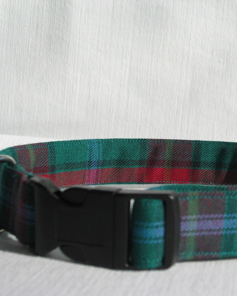 Green plaid dog collar with a black buckle on a white background