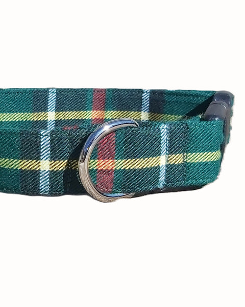 Green, yellow and white plaid dog collar with a metal buckle on a white background Newfoundland tartan dog collar made by Taylors Tartans