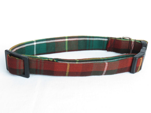 green and orange plaid dog collar on white background