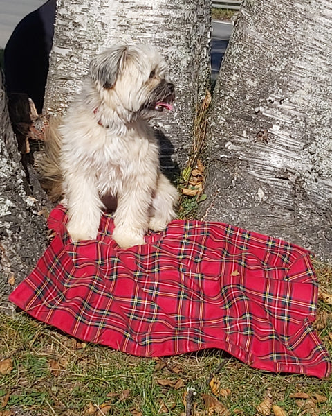 Royal Stewart Tartan Dog Blanket