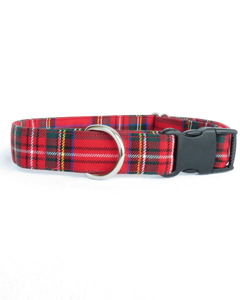 Red and black plaid dog collar with a metal buckle on a white background