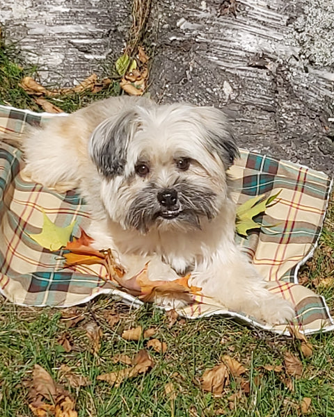 Saskatchewan Tartan Dog Blanket