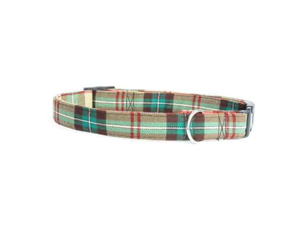 dog collar with yellow, brown and green plaid, on white background