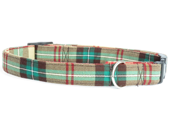 Saskatchewan tartan dog collar on white background