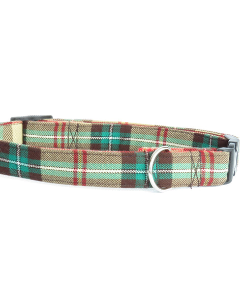 Yellow, brown and green laid dog collar with a metal ring in Saskatchewan tartan made by Taylors Tartans on a white background