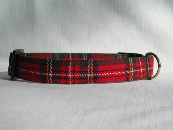 Royal Stewart Tartan Dog Collar Gift for Puppy Adoption