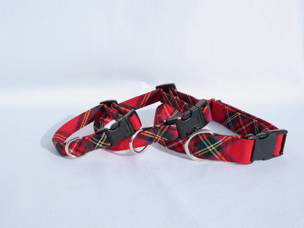 Dog Collar in Royal Stewart Plaid for Christmas Photos, Red White Plaid Pet Collar, Pet Groomer Gift,  Made in Canada Pet Collar