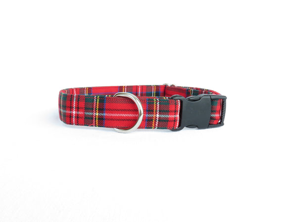 Collar, Royal Stewart Tartan Dog Collar for Christmas Photos, Red White Plaid Dog Collar, Made in Canada Pet Sitter Gift