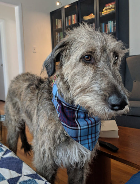 RCAF Tartan Kerchief, Royal Canadian Air Force Tartan Dog Gift Bandana, Plumb and Blue Tartan Dog Bandana, Plaid Dog Bandana, Plaid Kerchief