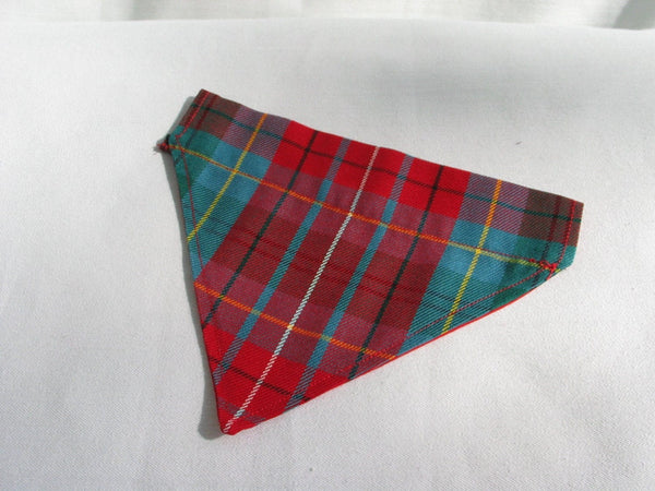 Magnifique bandana pour chien tartan de la Colombie-Britannique