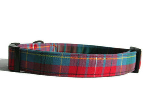 Dog Collar, British Columbia Tartan Dog Collar Made in Canada, Red and Teal Plaid Dog Collar, Dog Gift by Pawsitively Dazzled, Pet Accessory