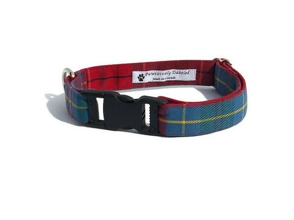 Dog Collar, British Columbia Tartan Dog Collar Made in Canada, Red and Teal Plaid Dog Collar, Dog Gift by Pawsitively Dazzled, Pet Accessory
