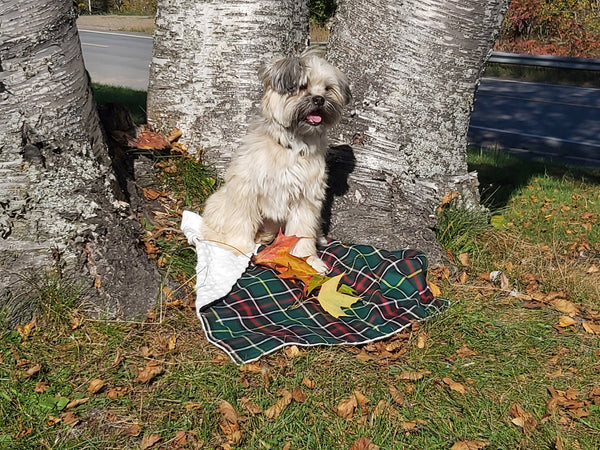 Dog Blanket, Nova Scotia Tartan Dog Blanket, Pet Adoption Day Blanket, Baby Shower Tartan Blanket, Tartan Lap Throw for Dog Mom and Dad