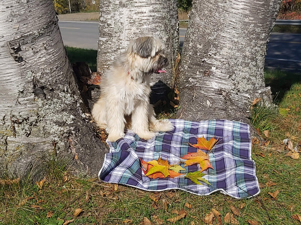 Nova Scotia Tartan Dog Blanket