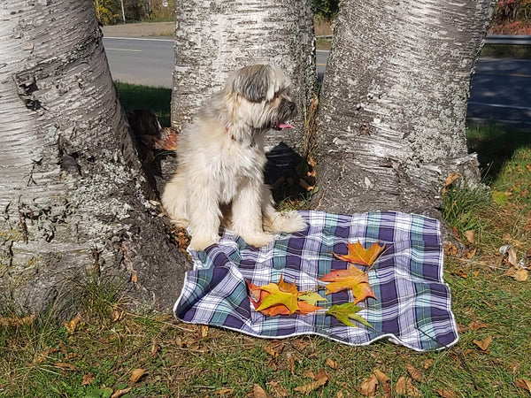 Dog Blanket, Nova Scotia Tartan Dog Blanket, Pet Adoption Day Blanket, Baby Shower Tartan Blanket, Tartan Lap Throw for Dog Mom and Dad