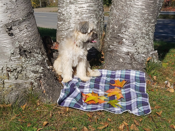 Saskatchewan Tartan Dog Blanket