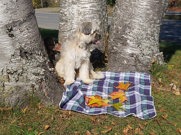 Gordon Tartan Lap Throw or Dog Blanket