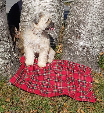 Dog Blanket, Royal Stewart Tartan Dog Blanket, Pet Adoption Day Blanket, Baby Shower Tartan Blanket, Tartan Lap Throw for Dog Mom and Dad