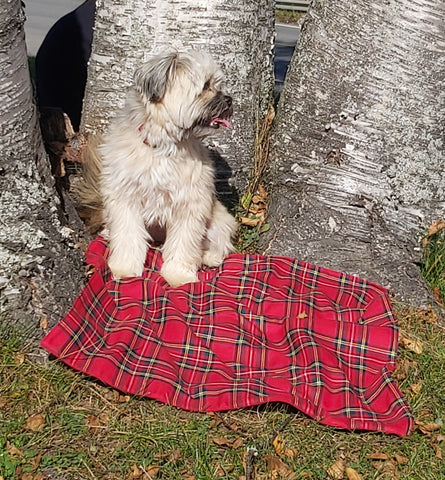 Royal Stewart Tartan Dog Blanket