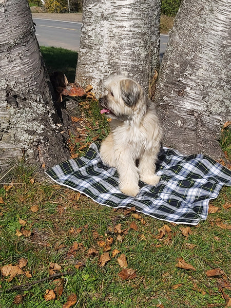 Dog Blanket, Royal Stewart Tartan Dog Blanket, Pet Adoption Day Blanket, Baby Shower Tartan Blanket, Tartan Lap Throw for Dog Mom and Dad