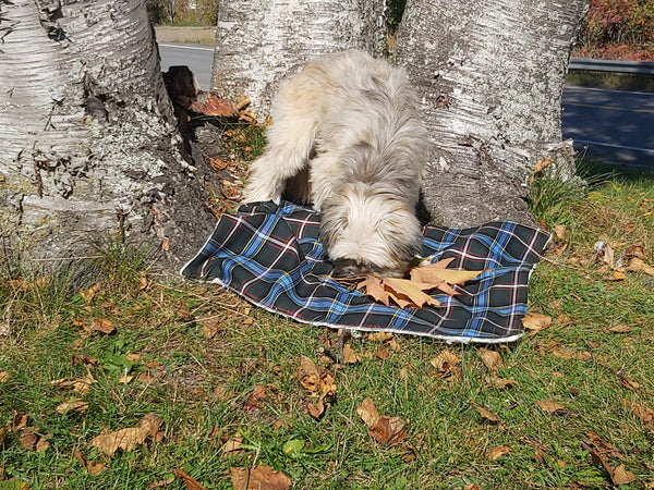 Dog Blanket, Nova Scotia Tartan Dog Blanket, Pet Adoption Day Blanket, Baby Shower Tartan Blanket, Tartan Lap Throw for Dog Mom and Dad