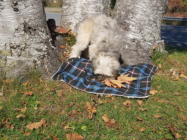 Gordon Tartan Lap Throw or Dog Blanket