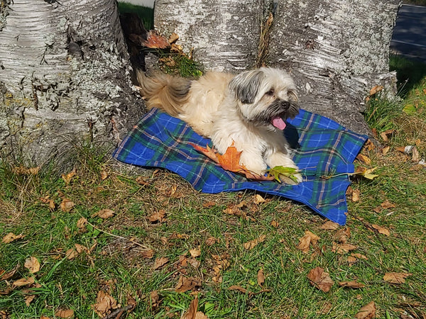 Gordon Tartan Lap Throw or Dog Blanket