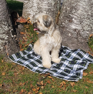 Gordon Tartan Lap Throw or Dog Blanket