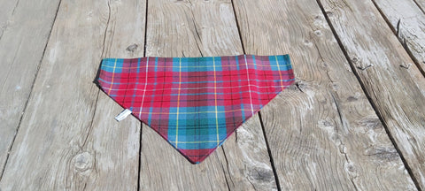 Magnifique bandana pour chien tartan de la Colombie-Britannique