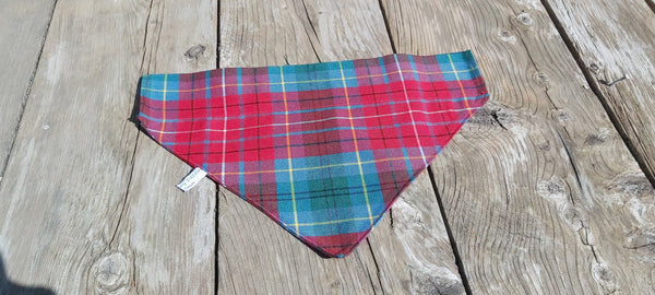 Magnifique bandana pour chien tartan de la Colombie-Britannique