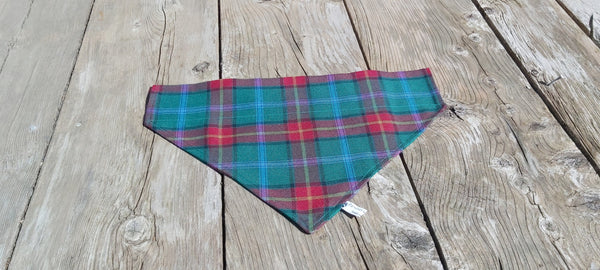 Foulard pour chien tartan du Manitoba