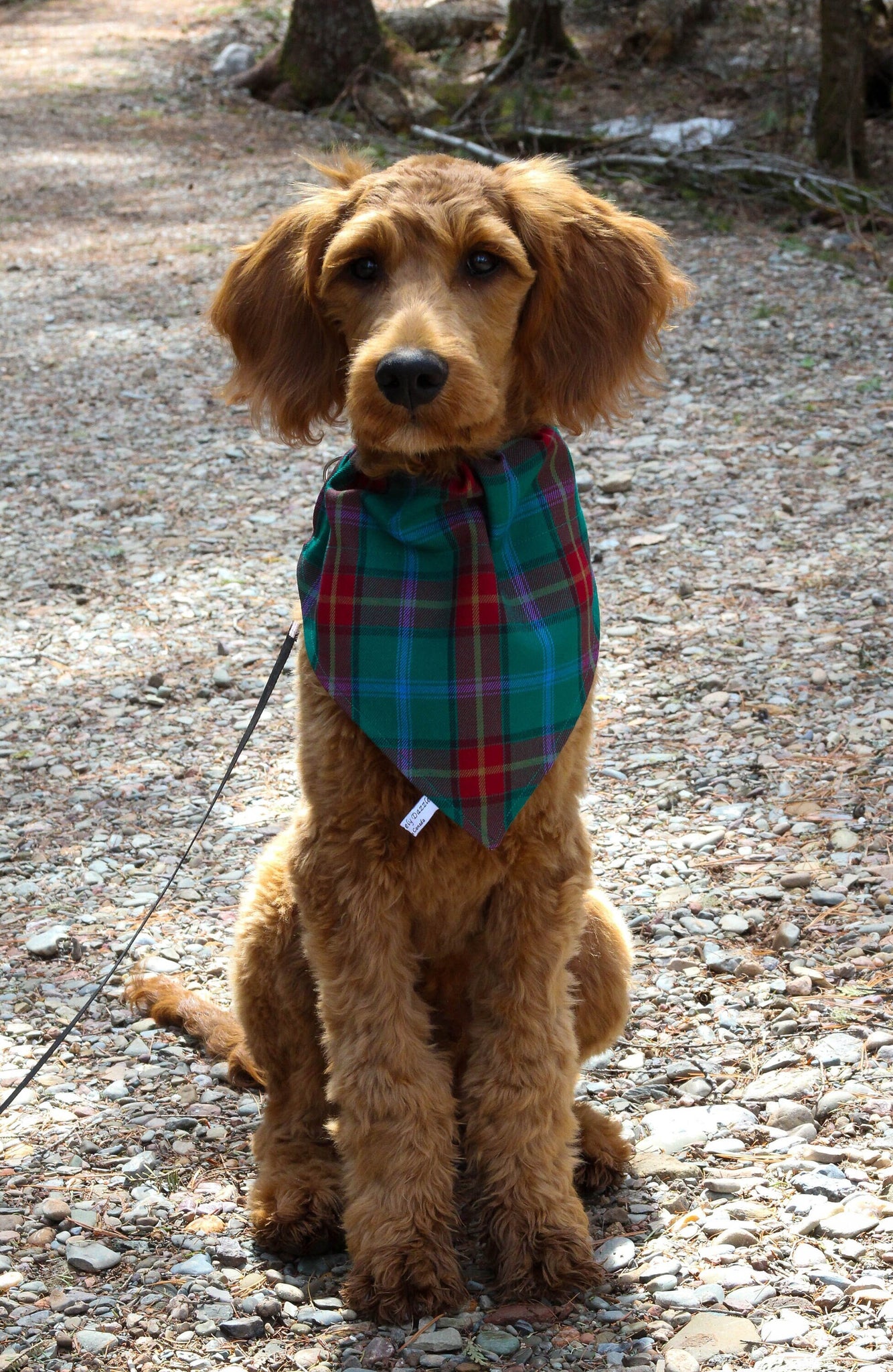 Foulard pour chien tartan du Manitoba