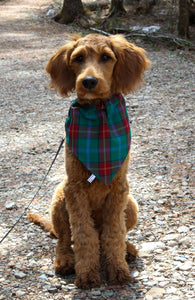 Dog Bandana, Manitoba Tartan Dog Kerchief, Scottish Tartan Dog Bandana, Teal Plaid Pet Kerchief for Manitoba Dog Show