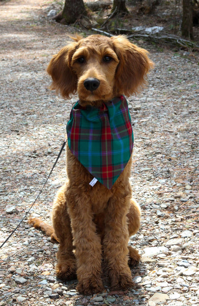 Dog Bandana, Manitoba Tartan Dog Kerchief, Scottish Tartan Dog Bandana, Teal Plaid Pet Kerchief for Manitoba Dog Show